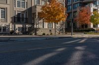 a tree is standing in the middle of an empty street between two buildings and a fire hydrant