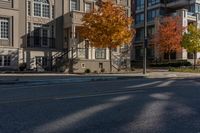 a tree is standing in the middle of an empty street between two buildings and a fire hydrant