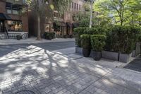 a building with a decorative iron grid pattern on a paved city street with greenery and sidewalk