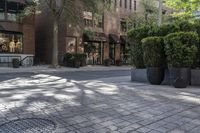 a building with a decorative iron grid pattern on a paved city street with greenery and sidewalk