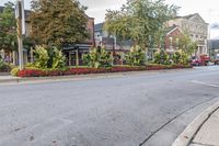 Classic Architecture and Tree-Lined Roads in Toronto