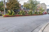 Classic Architecture and Tree-Lined Roads in Toronto