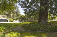 the home has a driveway and gated entrance in a park setting in the foreground