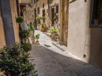 an alley way leading to a narrow building with a clock and potted plants on the floor