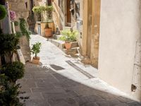 an alley way leading to a narrow building with a clock and potted plants on the floor