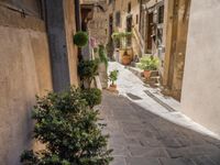 an alley way leading to a narrow building with a clock and potted plants on the floor