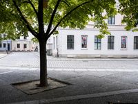 there is a bench under the trees in this picture at the corner of a cobblestone street