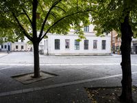 there is a bench under the trees in this picture at the corner of a cobblestone street