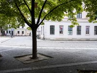 there is a bench under the trees in this picture at the corner of a cobblestone street