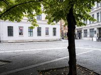 there is a bench under the trees in this picture at the corner of a cobblestone street