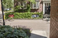 a very nice house in a quiet neighborhood in front of the street signs and plants