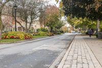 an empty street lined with lush green trees and shrubbery next to brick road next to sidewalk