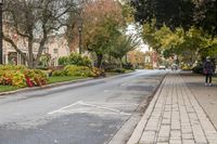 an empty street lined with lush green trees and shrubbery next to brick road next to sidewalk