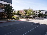 Clear Skies Over Los Angeles: A Day in California