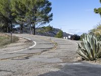 Clear Sky and Asphalt Road with Low Grass