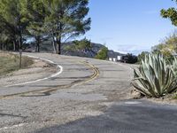 Clear Sky and Asphalt Road with Low Grass