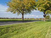 a grassy field with some trees, with a highway in the distance and an empty road on one side