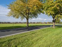 a grassy field with some trees, with a highway in the distance and an empty road on one side