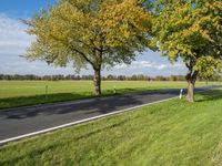 a grassy field with some trees, with a highway in the distance and an empty road on one side