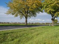 a grassy field with some trees, with a highway in the distance and an empty road on one side