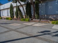 a shadow cast over the ground from benches in front of a building and trees on either side of the sidewalk