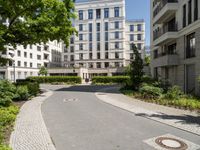 a paved street and trees in a large city area with a statue in the center of it