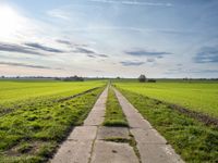 an empty stone pathway in a grassy field and a sky with some clouds above it