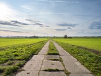 an empty stone pathway in a grassy field and a sky with some clouds above it