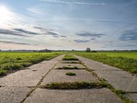 an empty stone pathway in a grassy field and a sky with some clouds above it