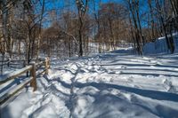 a snowy path in the woods with lots of snow on the ground and a wooden railing