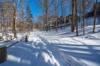 the snow is covering the path in the woods by the house on the hill, where the trees and grass are on the hillside