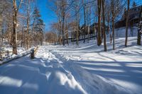 the snow is covering the path in the woods by the house on the hill, where the trees and grass are on the hillside