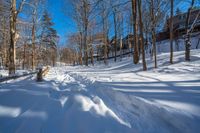 the snow is covering the path in the woods by the house on the hill, where the trees and grass are on the hillside