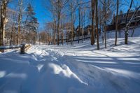 the snow is covering the path in the woods by the house on the hill, where the trees and grass are on the hillside