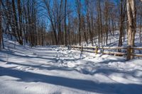 a wooden fence covered in snow near trees and a bench in the background is a forest