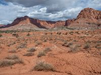 Clear Sky over Capitol Reef, Utah