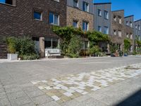 a building on a quiet street with plants in front of it and cars parked on the road