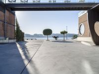 a cement walkway that leads into a parking garage with two trees and a large potted tree