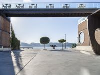 a cement walkway that leads into a parking garage with two trees and a large potted tree