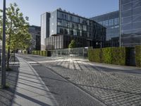 Clear Sky and Cobblestone Road: Urban Oasis in Berlin