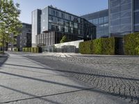 Clear Sky and Cobblestone Road: Urban Oasis in Berlin