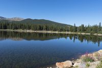 Clear Sky Over Colorado Mountain Road