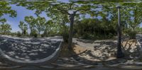 the reflection of a street lamp from a spherical lens is seen in this street view