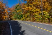 an empty road runs through a forest in autumn with lots of yellow and orange trees