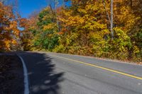 an empty road runs through a forest in autumn with lots of yellow and orange trees