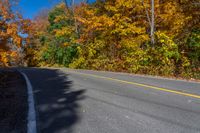 an empty road runs through a forest in autumn with lots of yellow and orange trees