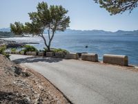 Clear Sky Day in Mallorca: A Stunning Landscape of Nature