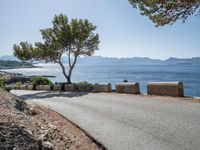 Clear Sky Day in Mallorca: A Stunning Landscape of Nature