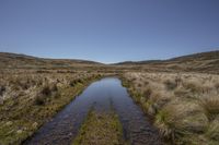 Clear Sky Day: Landscape in an Open Space