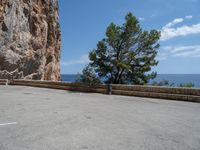 Clear Sky Day in Mallorca: Enjoying Nature's Beauty